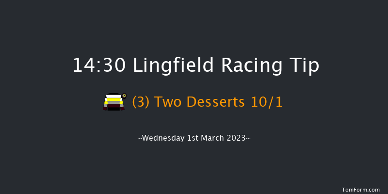 Lingfield 14:30 Handicap (Class 5) 6f Sat 25th Feb 2023