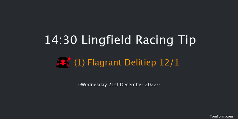 Lingfield 14:30 Handicap Chase (Class 3) 16f Mon 19th Dec 2022