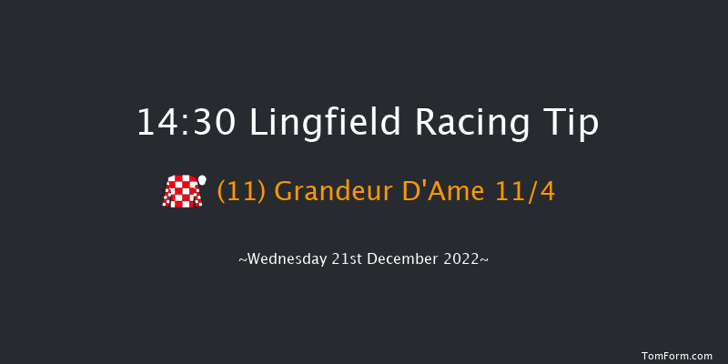Lingfield 14:30 Handicap Chase (Class 3) 16f Mon 19th Dec 2022
