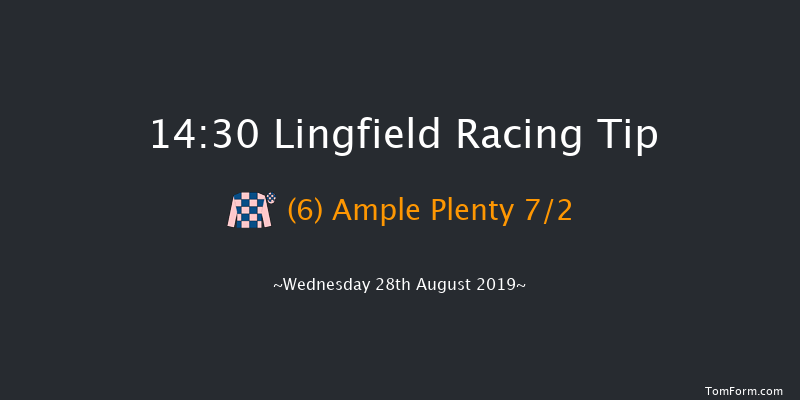 Lingfield 14:30 Claimer (Class 6) 9f Mon 19th Aug 2019