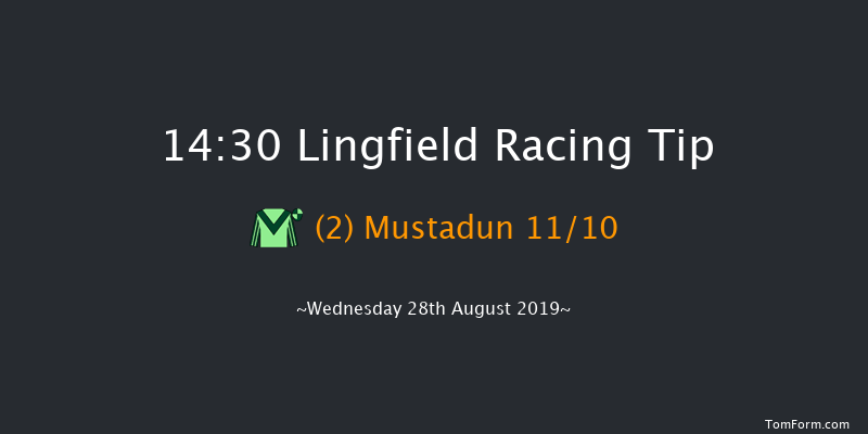 Lingfield 14:30 Claimer (Class 6) 9f Mon 19th Aug 2019
