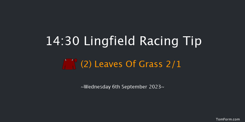 Lingfield 14:30 Handicap (Class 5) 5f Wed 30th Aug 2023
