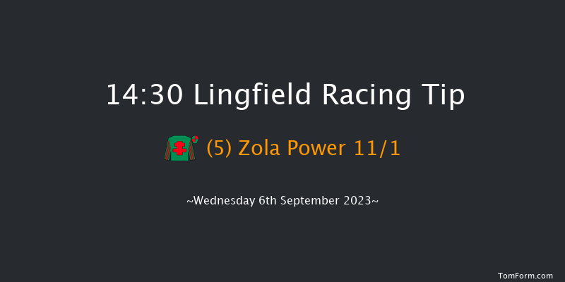 Lingfield 14:30 Handicap (Class 5) 5f Wed 30th Aug 2023
