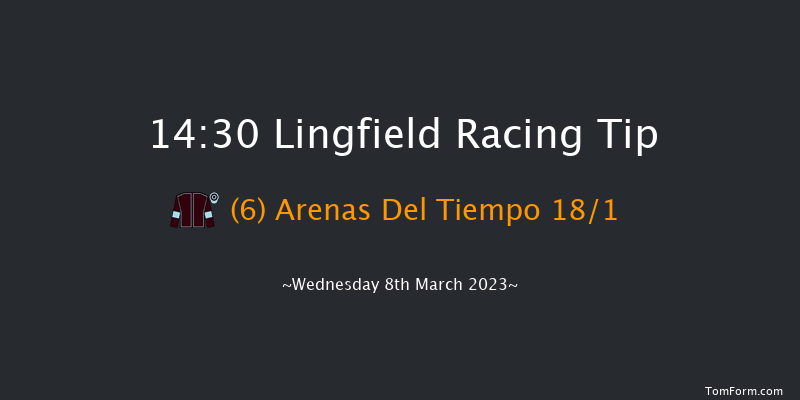 Lingfield 14:30 Handicap (Class 5) 10f Tue 7th Mar 2023