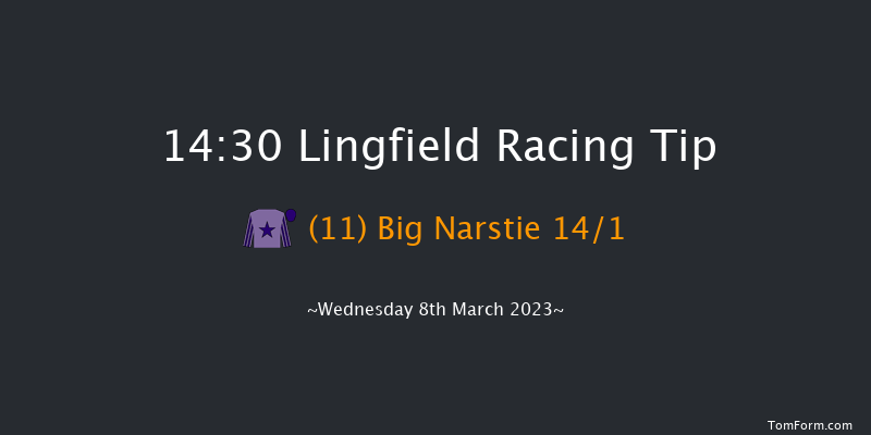 Lingfield 14:30 Handicap (Class 5) 10f Tue 7th Mar 2023