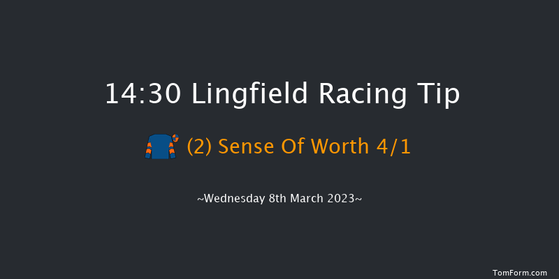 Lingfield 14:30 Handicap (Class 5) 10f Tue 7th Mar 2023