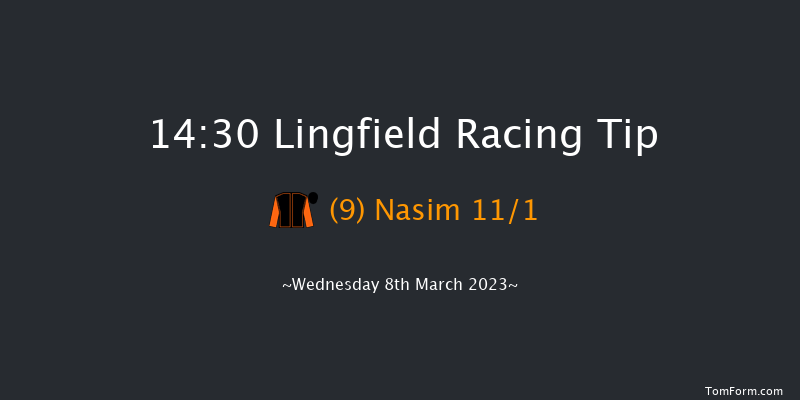 Lingfield 14:30 Handicap (Class 5) 10f Tue 7th Mar 2023