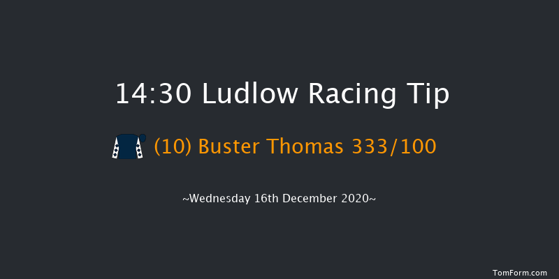 Tanners Claret Handicap Chase Ludlow 14:30 Handicap Chase (Class 3) 24f Wed 2nd Dec 2020