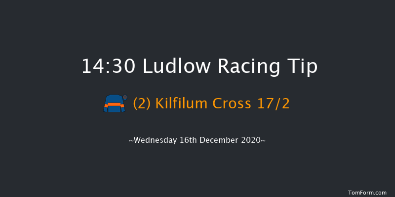 Tanners Claret Handicap Chase Ludlow 14:30 Handicap Chase (Class 3) 24f Wed 2nd Dec 2020