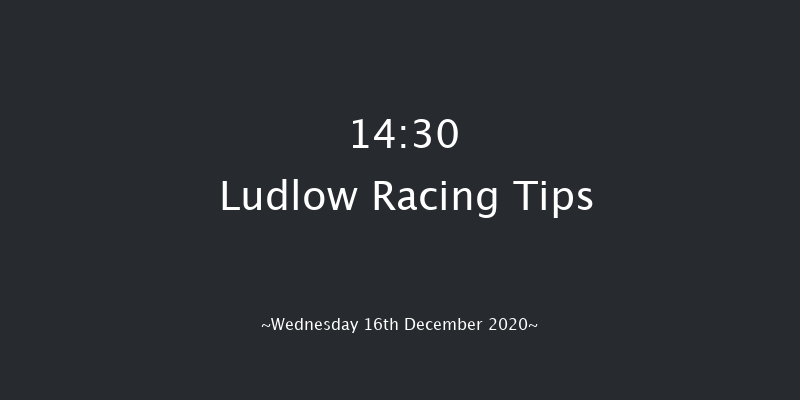 Tanners Claret Handicap Chase Ludlow 14:30 Handicap Chase (Class 3) 24f Wed 2nd Dec 2020