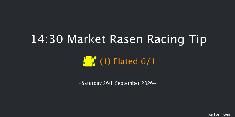 Market Rasen 14-30 (Class 4) 16f Sat 15th Aug 2026