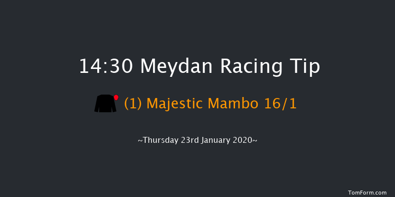 Meydan 14:30 1m 4f 16 run P & O Marinas Handicap - Turf Sat 18th Jan 2020