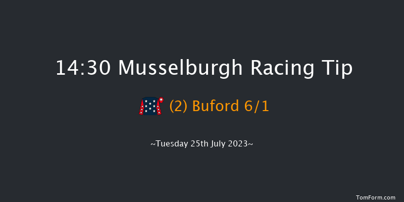 Musselburgh 14:30 Stakes (Class 6) 12f Wed 5th Jul 2023