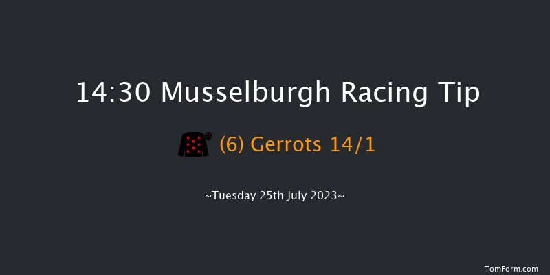 Musselburgh 14:30 Stakes (Class 6) 12f Wed 5th Jul 2023