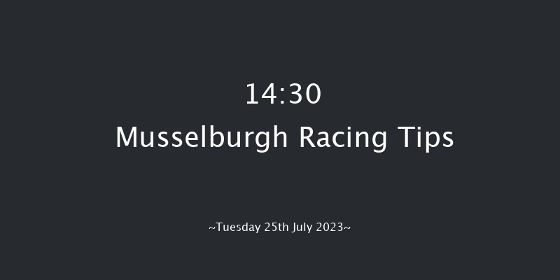 Musselburgh 14:30 Stakes (Class 6) 12f Wed 5th Jul 2023