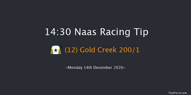 Ballymore Beginners Chase Naas 14:30 Maiden Chase 19f Sat 21st Nov 2020