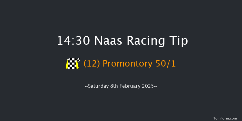 Naas  14:30 Maiden Hurdle 18f Sun 26th Jan 2025