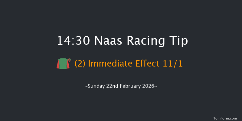 Naas 14-30 (Class 1) 15f Sat 7th Feb 2026