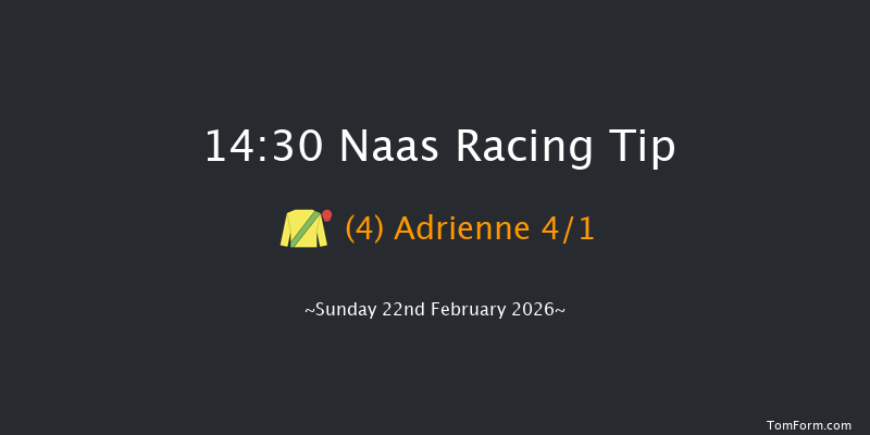 Naas 14-30 (Class 1) 15f Sat 7th Feb 2026