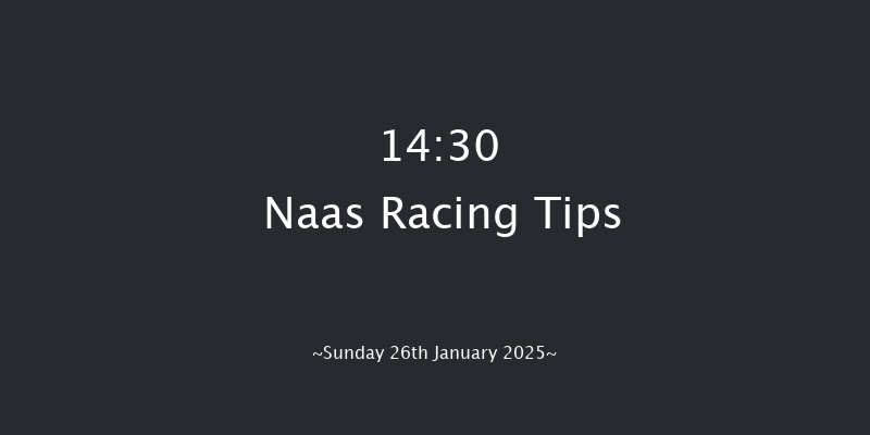 Naas  14:30 Novices Chase 25f Sun 5th Jan 2025