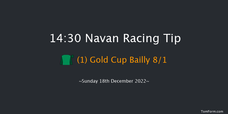 Navan 14:30 Novices Chase 20f Sun 27th Nov 2022