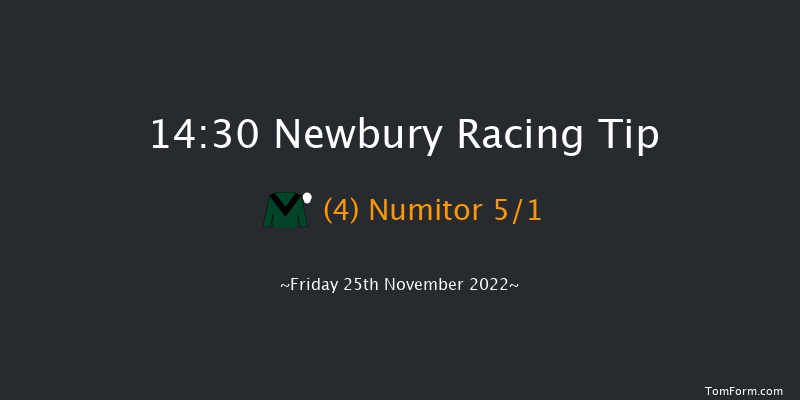 Newbury 14:30 Handicap Chase (Class 2) 20f Thu 3rd Nov 2022