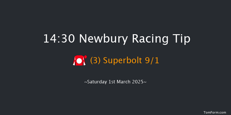 Newbury  14:30 Handicap Chase (Class 3) 23f Fri 28th Feb 2025
