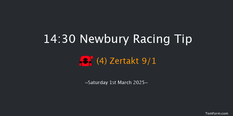 Newbury  14:30 Handicap Chase (Class 3) 23f Fri 28th Feb 2025