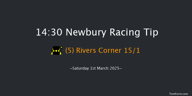 Newbury  14:30 Handicap Chase (Class 3) 23f Fri 28th Feb 2025