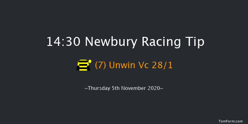 Pertemps Network Handicap Hurdle Newbury 14:30 Handicap Hurdle (Class 2) 24f Sat 24th Oct 2020