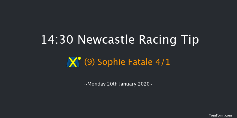 Newcastle 14:30 Maiden Hurdle (Class 4) 20f Fri 17th Jan 2020