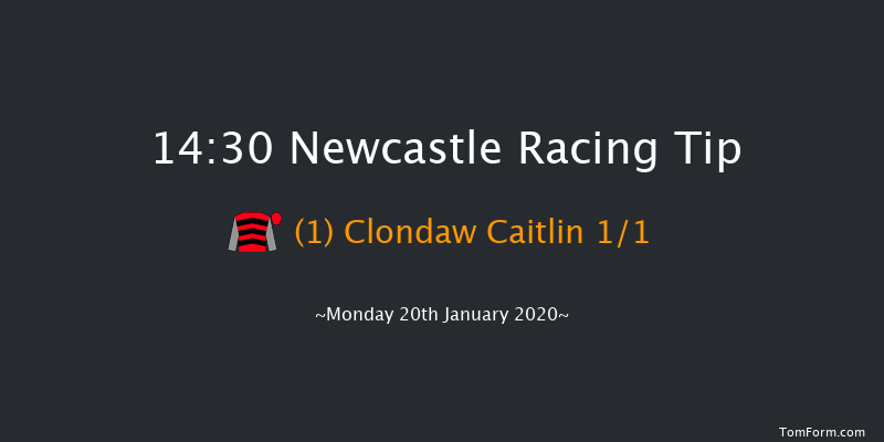 Newcastle 14:30 Maiden Hurdle (Class 4) 20f Fri 17th Jan 2020