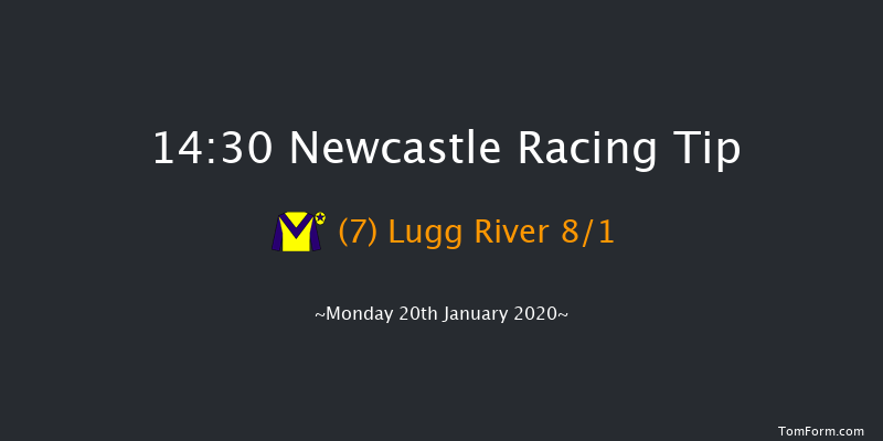 Newcastle 14:30 Maiden Hurdle (Class 4) 20f Fri 17th Jan 2020