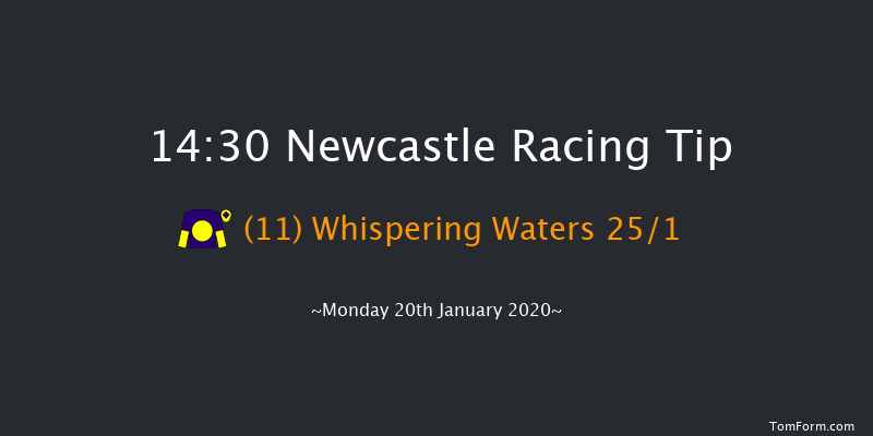 Newcastle 14:30 Maiden Hurdle (Class 4) 20f Fri 17th Jan 2020