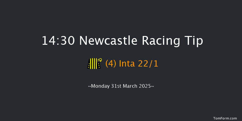 Newcastle 14-30 (Class 4) 20f Sat 29th Mar 2025