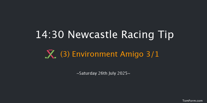 Newcastle 14-30 (Class 4) 12f Sat 28th Jun 2025