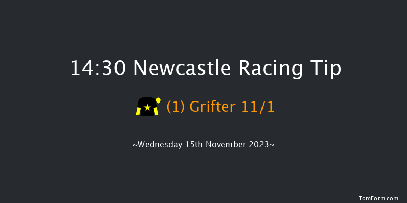 Newcastle 14:30 Handicap (Class 6) 16f Tue 14th Nov 2023