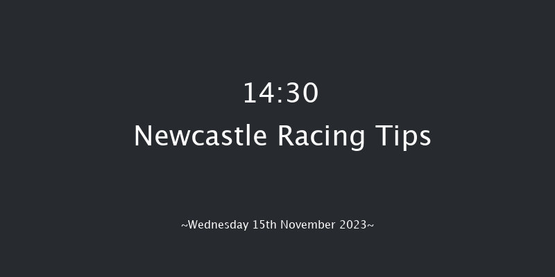 Newcastle 14:30 Handicap (Class 6) 16f Tue 14th Nov 2023