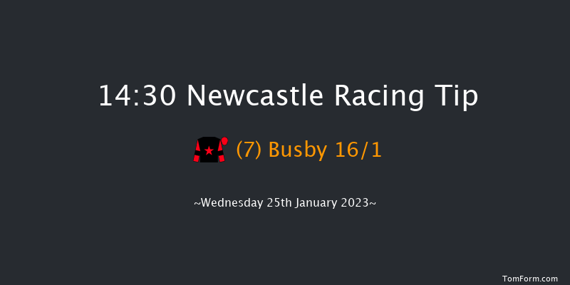 Newcastle 14:30 Handicap (Class 4) 10f Sun 22nd Jan 2023