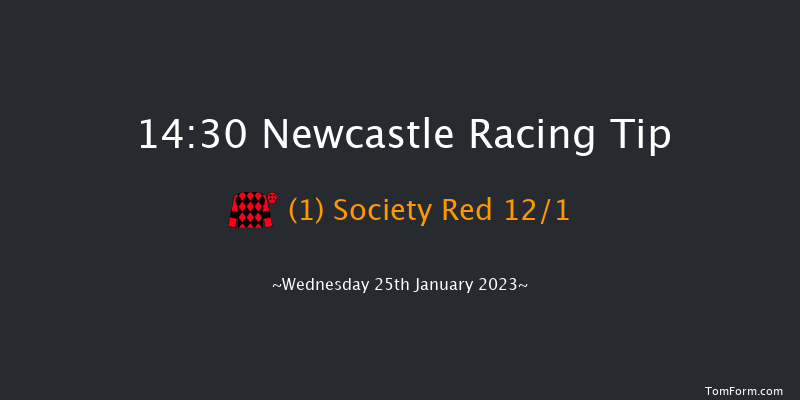 Newcastle 14:30 Handicap (Class 4) 10f Sun 22nd Jan 2023