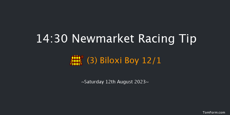 Newmarket 14:30 Handicap (Class 4) 7f Fri 11th Aug 2023