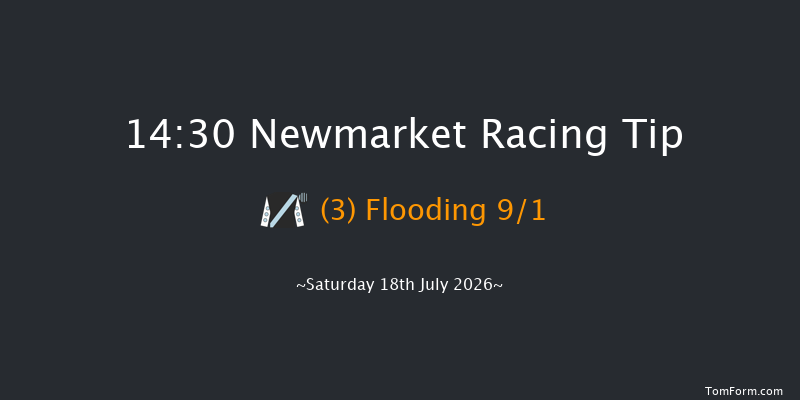 Newmarket 14-30 (Class 4) 7f Fri 17th Jul 2026