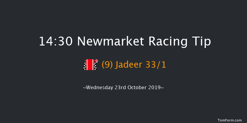Newmarket 14:30 Stakes (Class 4) 7f Sat 12th Oct 2019