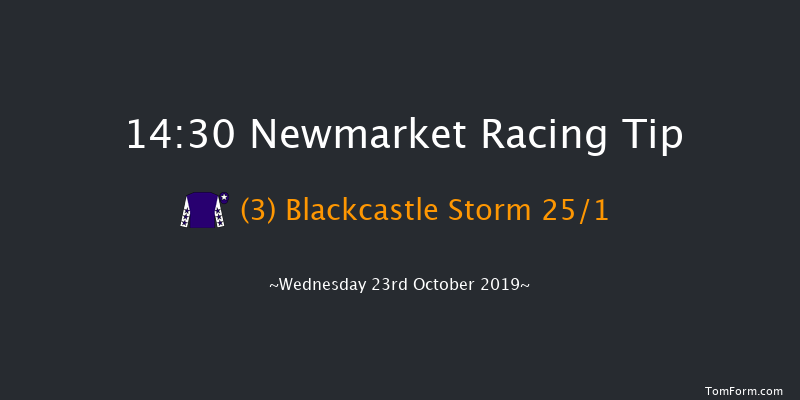 Newmarket 14:30 Stakes (Class 4) 7f Sat 12th Oct 2019