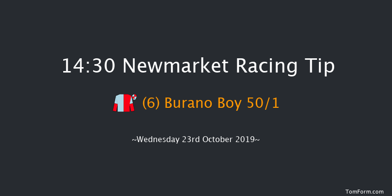 Newmarket 14:30 Stakes (Class 4) 7f Sat 12th Oct 2019