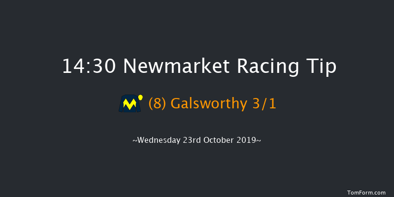 Newmarket 14:30 Stakes (Class 4) 7f Sat 12th Oct 2019