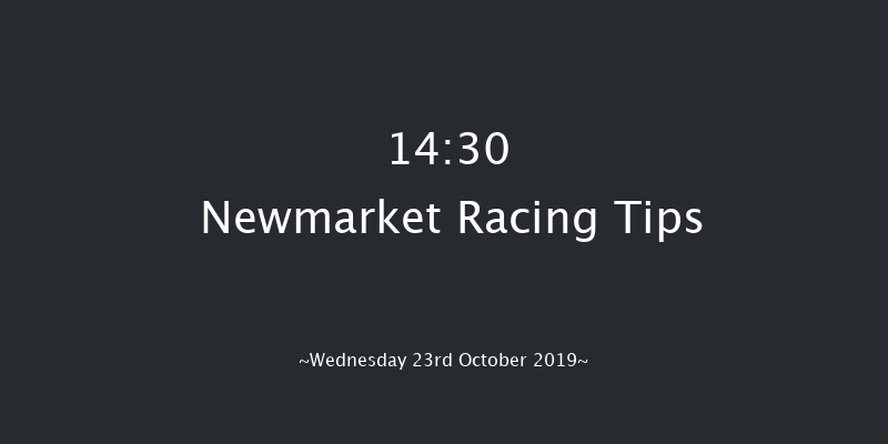 Newmarket 14:30 Stakes (Class 4) 7f Sat 12th Oct 2019
