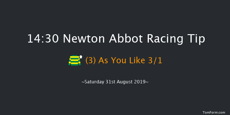 Newton Abbot 14:30 Handicap Chase (Class 4) 21f Tue 20th Aug 2019