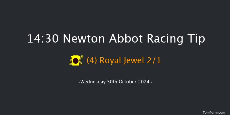 Newton Abbot  14:30 Handicap Chase (Class 4) 16f Fri 20th Sep 2024