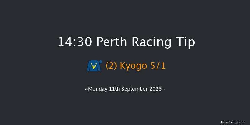 Perth 14:30 Conditions Hurdle (Class 4) 16f Sat 19th Aug 2023